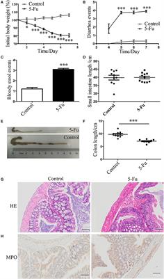 Alteration of Gut Microbiota and Inflammatory Cytokine/Chemokine Profiles in 5-Fluorouracil Induced Intestinal Mucositis